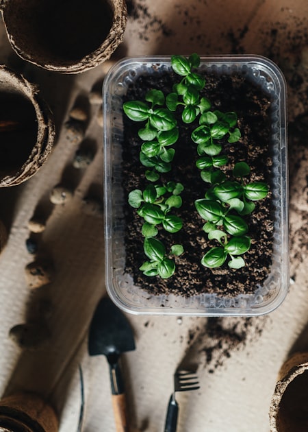 How to Sell Your Homegrown Vegetables