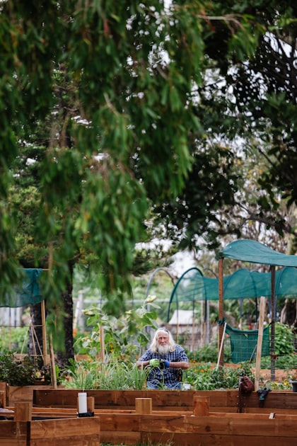 Understanding Soil Types for Gardening