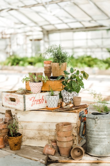 Seasonal Gardening: What to Plant When